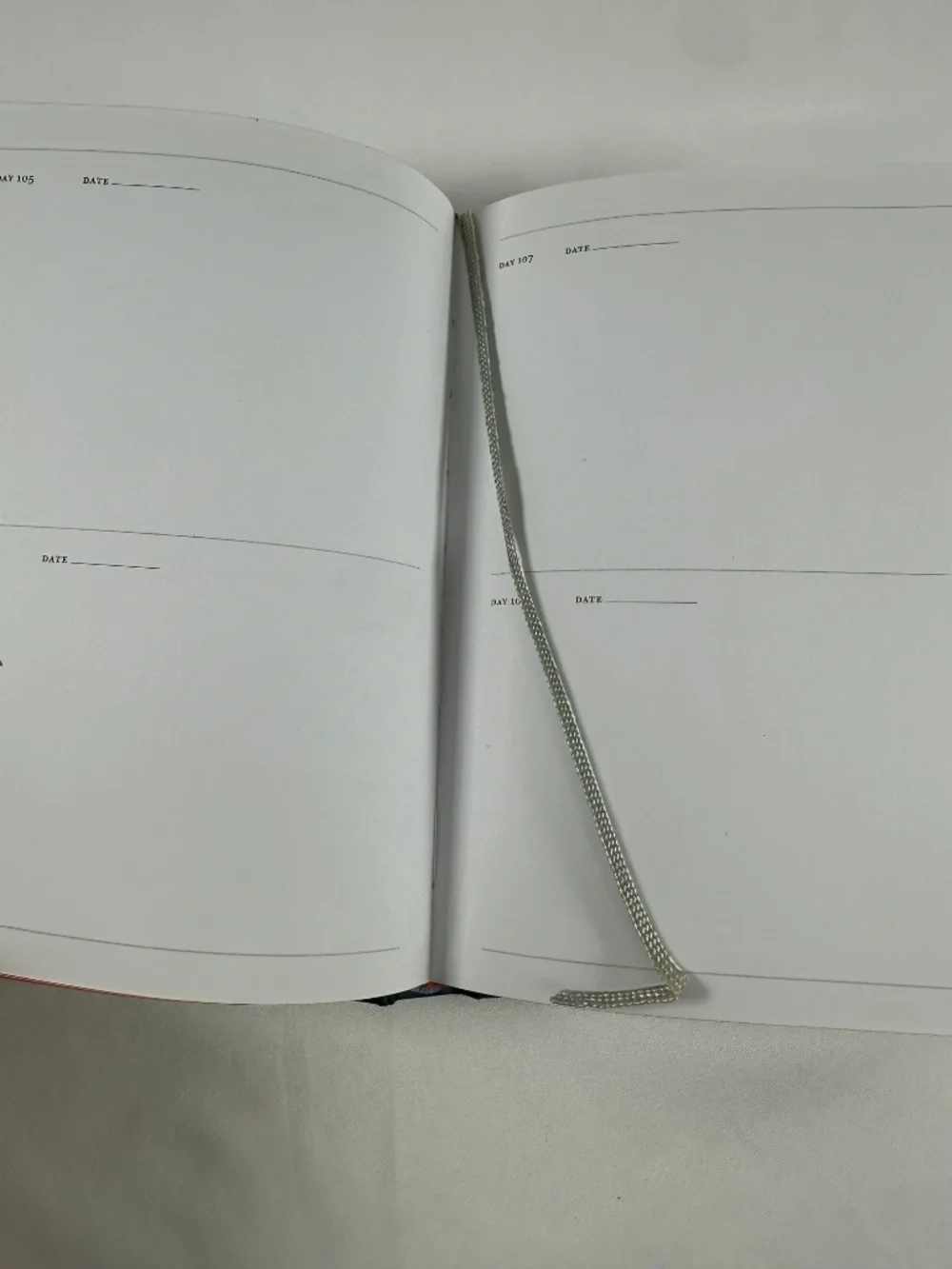 Chronicle Books one sketch